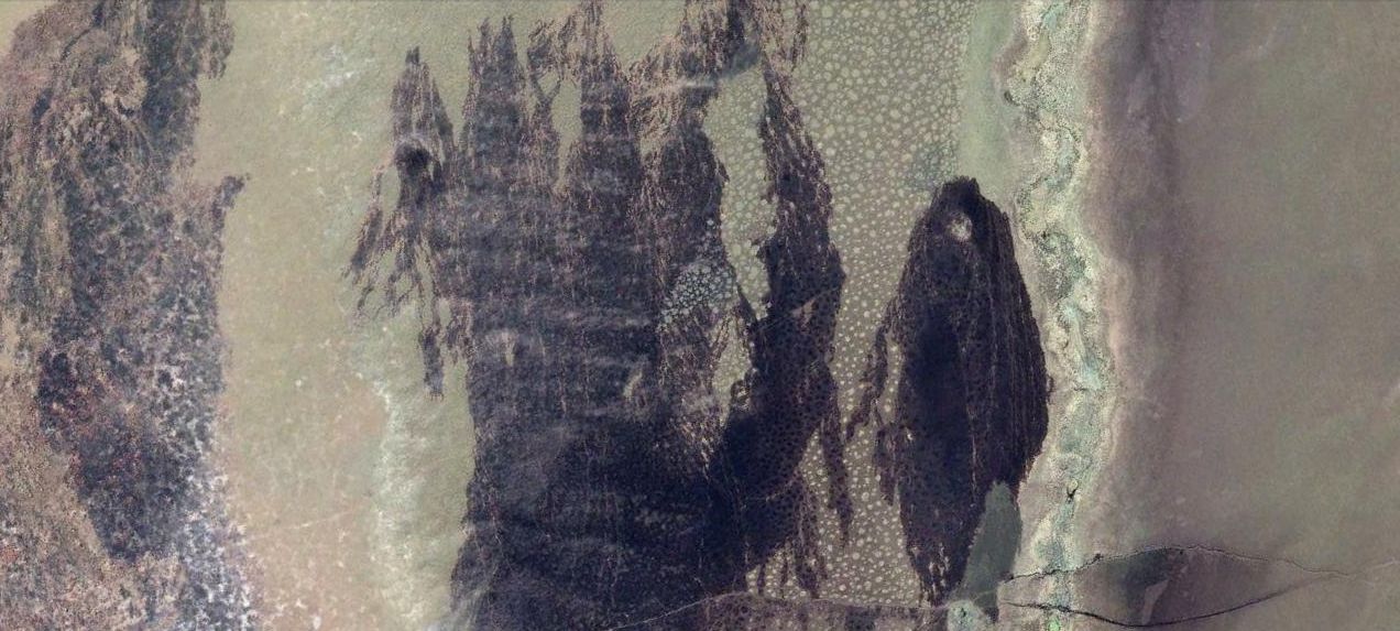 Женщина в чёрном — Ольга Руда