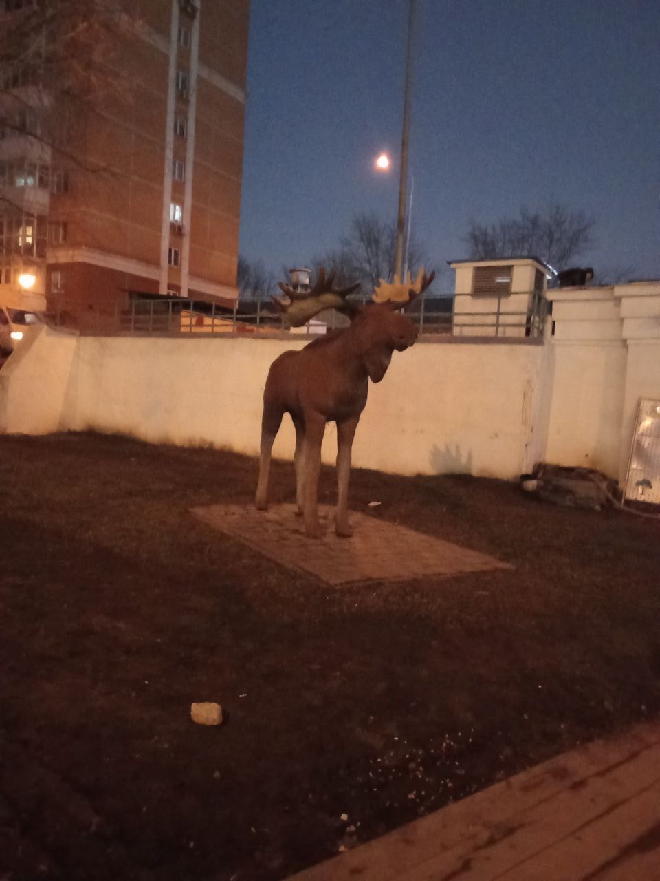 Московский лось — Ольга Руда